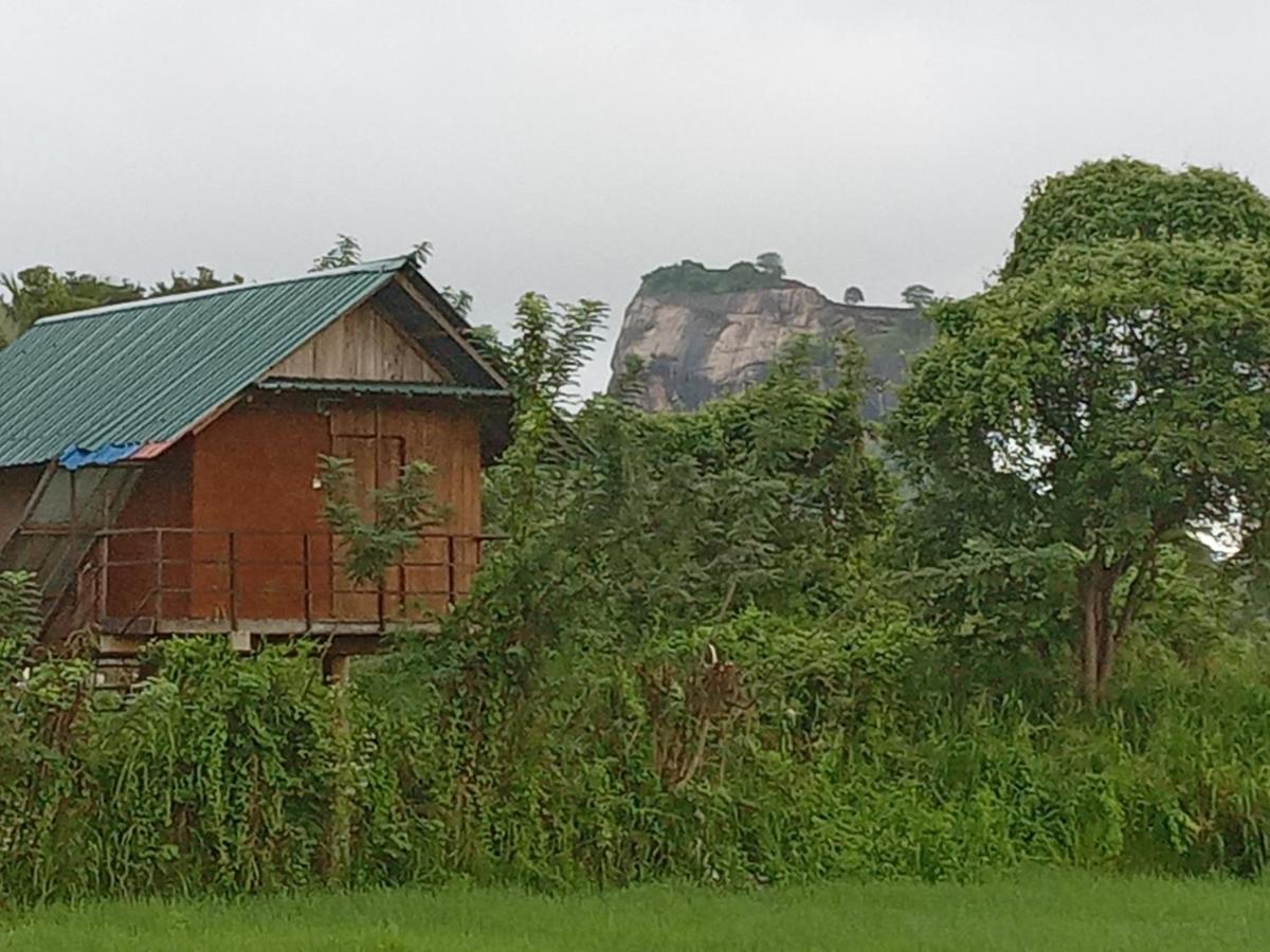 Sigiriya Paddy Field Hut Villa Exterior photo
