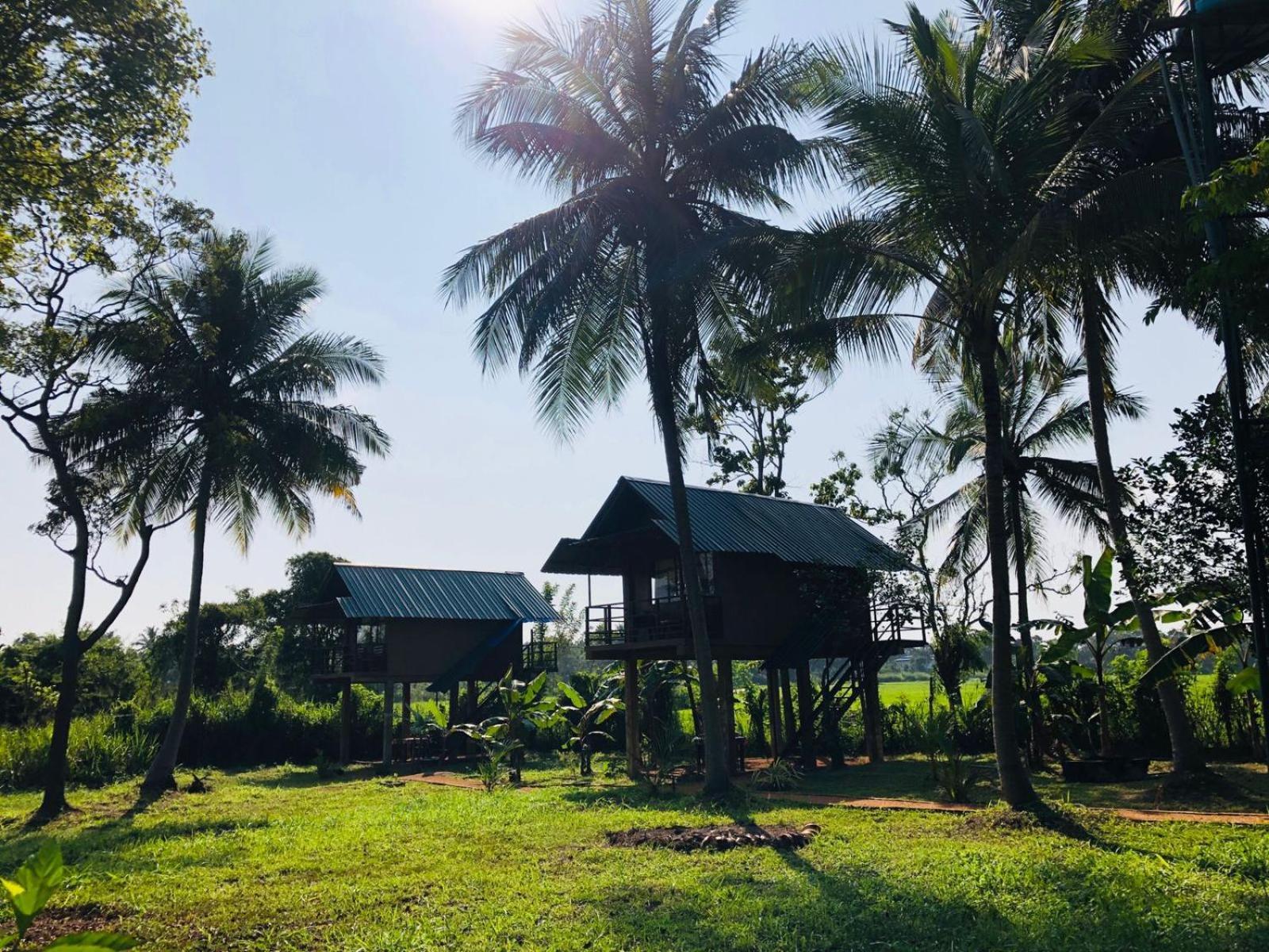 Sigiriya Paddy Field Hut Villa Room photo